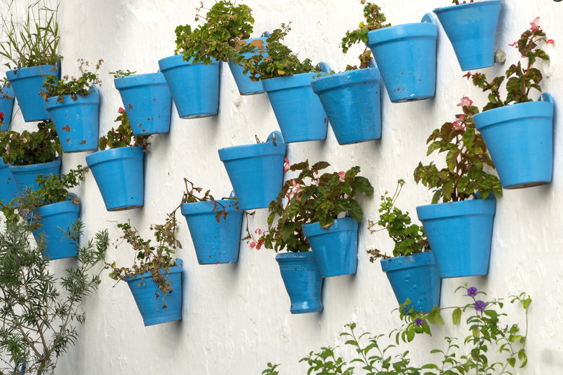 Kwiaty w doniczkach wiszących Blue,Flower,Pots,On,A,White,Wall.,Mijas,(andalusia,,Spain).