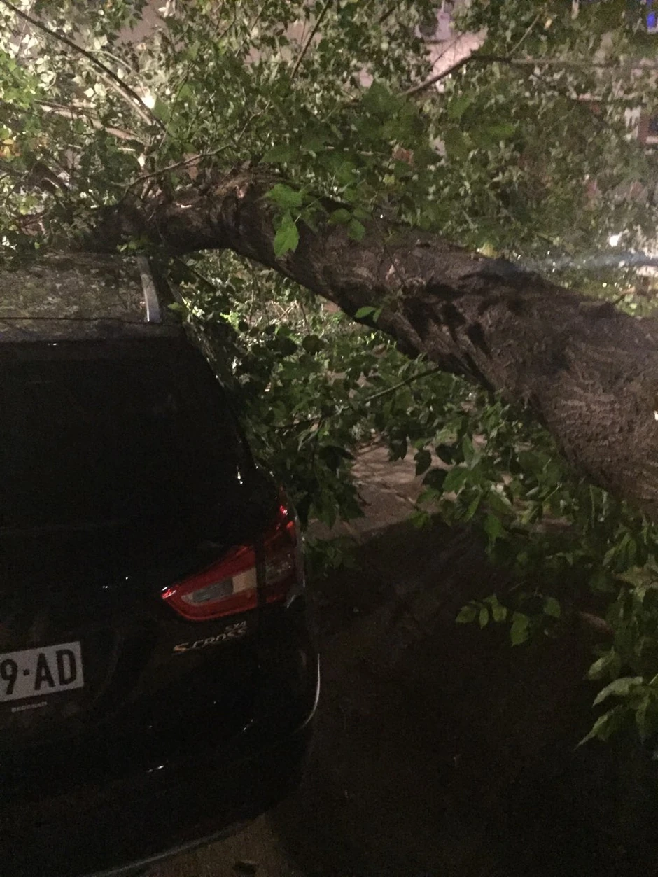 Automobil koji je platio ceh