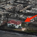Ten drewniany dom przetrwał pożary na Hawajach. Oto kluczowy powód