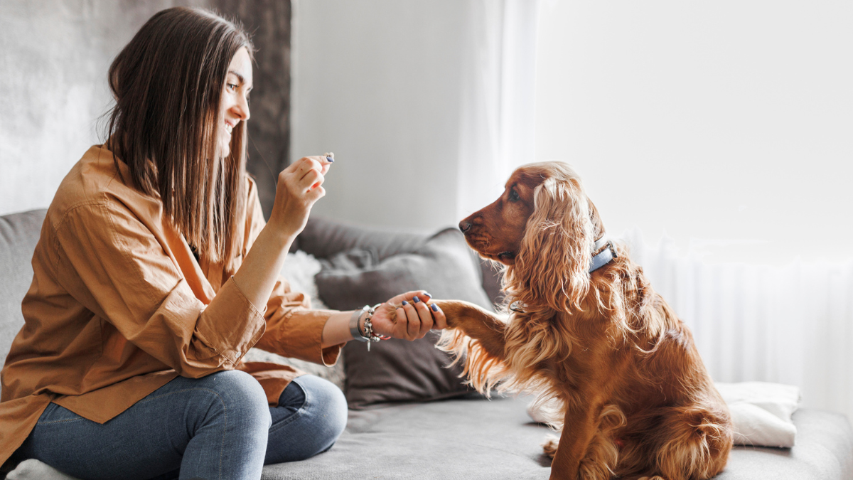 Los perros escuchan mejor a las mujeres y ya sabemos el motivo científico