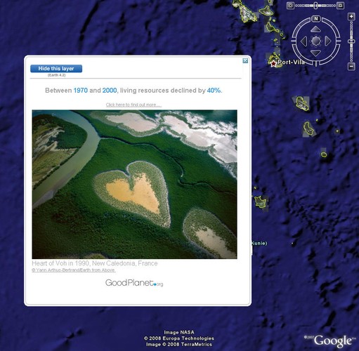 Fragment lasu Nowej Kaledonii