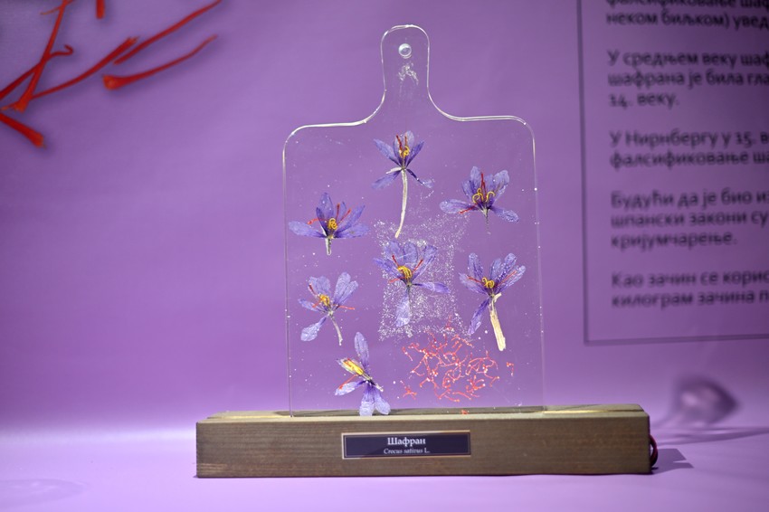 Šafran je nastao u Grčkoj ukrštanjem dve biljke koje i danas nativno žive u toj zemlji. Najskuplji je začin na svetu jer se njegovi cvetovi ručno oprašuju i sakupljaju. kilogram ovog začina staje i do 30.000 dolara