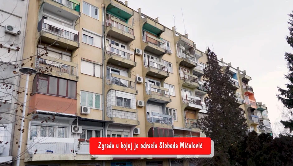 Sloboda Mićalović, emisija "Metar moga sela"