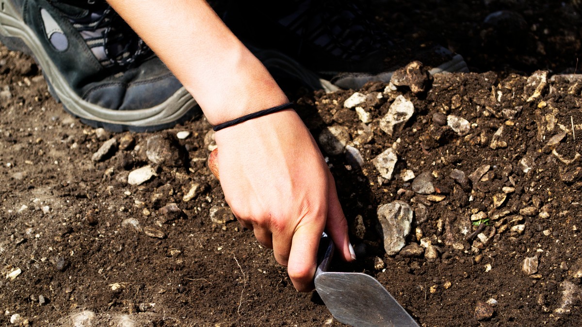 Dobrze zachowane ozdobne nakrycie głowy - diadem z wczesnej epoki brązu - znaleziono podczas prac archeologicznych w miejscowości Brzegi k. Jędrzejowa (Świętokrzyskie). Zdaniem specjalistów, cenny obiekt może stać się ozdobą kolekcji muzealnych.