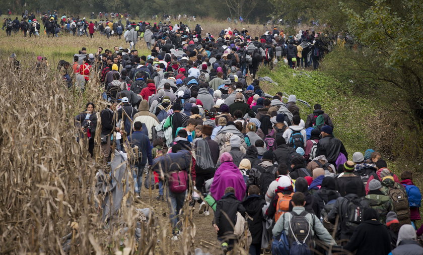 Imigranci maszerują przez pola w Chorwacji