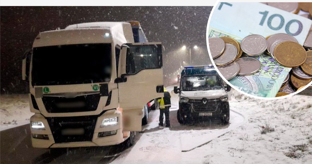 Polacy mogą wziąć nawet 3 tys. zł na pojazd. Ruszyło rządowe wsparcie