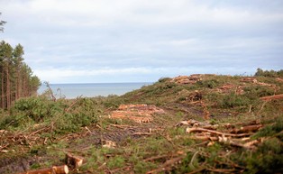 Polacy jednak wierzą w przekop Mierzei Wiślanej [SONDAŻ]