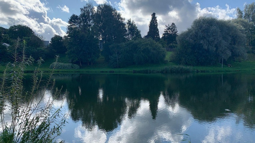 BBC | Foto: BBC/Dejana Vukadinović