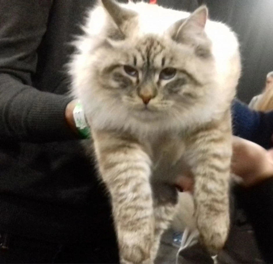 Trećeplasirani Bruno je miljenik publike