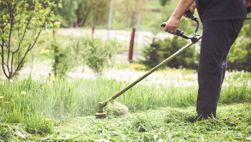 Beliebte Rasentrimmer mit Kabel für die Gartenarbeit 