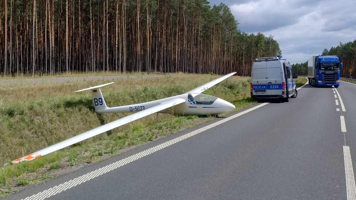 Niezwykłe sceny na obwodnicy Zielonej Góry. Musieli reagować natychmiast