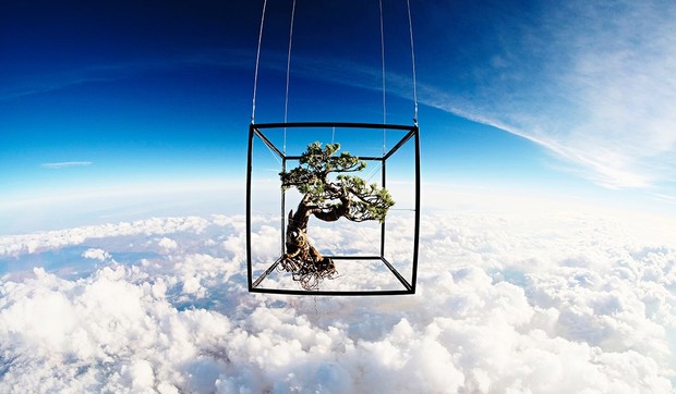 Makoto Azuma01 foto Facebook Azuma Makoto