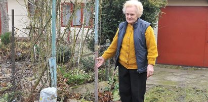 Będą kary za brak przyłączy?