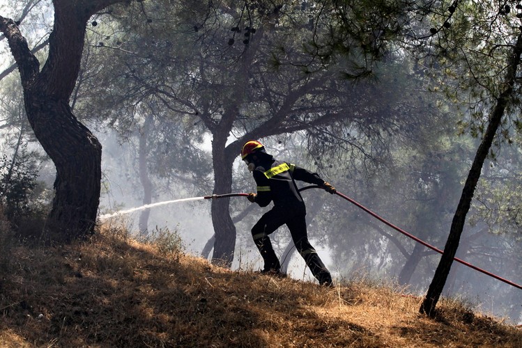 GRECJA. Płoną lasy i przedmieścia. Strażacy i żołnierze walczą z ogniem