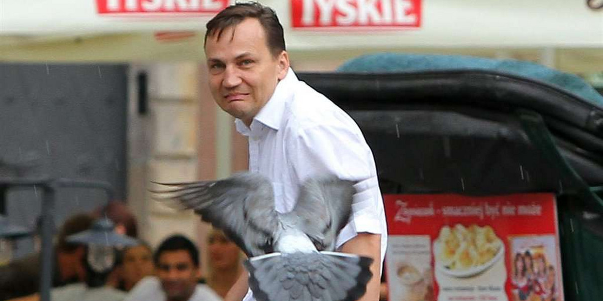 Sikorski wystraszył się ptaszka!