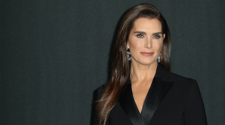 Brooke Shields sokáig saját magát hibáztatta/ Fotó: Northfoto