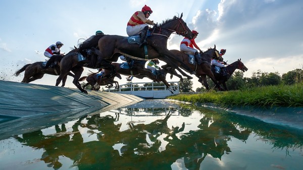 Crystal Cup to najdłuższa gonitwa przeszkodowa w sezonie (5 500 metrów).