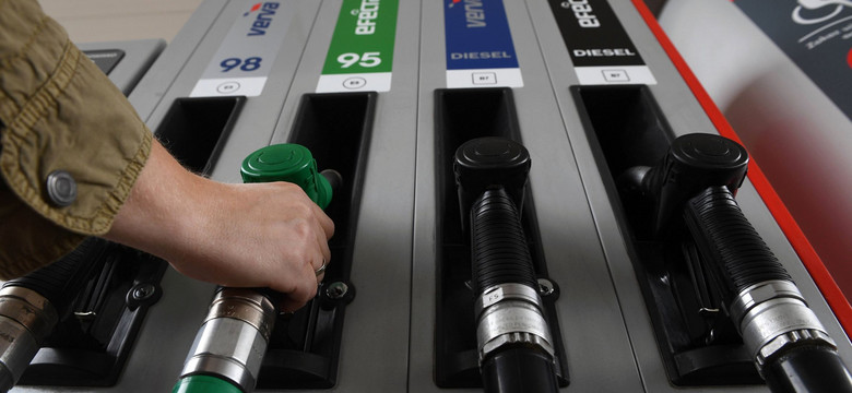 Nowe oznaczenia paliw już na stacjach w Polsce. Zobacz, jak po zmianach rozpoznać benzynę, olej napędowy i autogaz