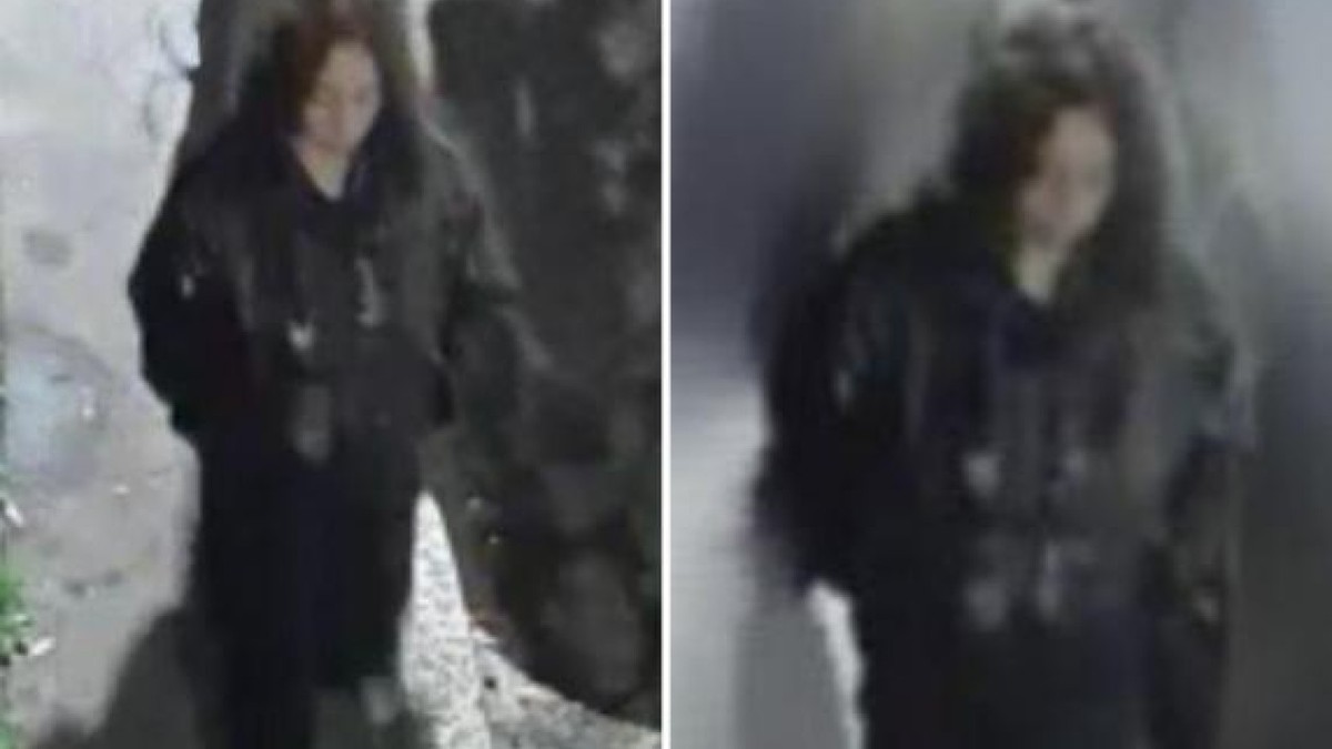 Snimak sa nadzorne kamere nakon ubistva u Milanu