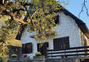 Kuća od 100 kvadrata i 27 ari placa za 24.000 evra