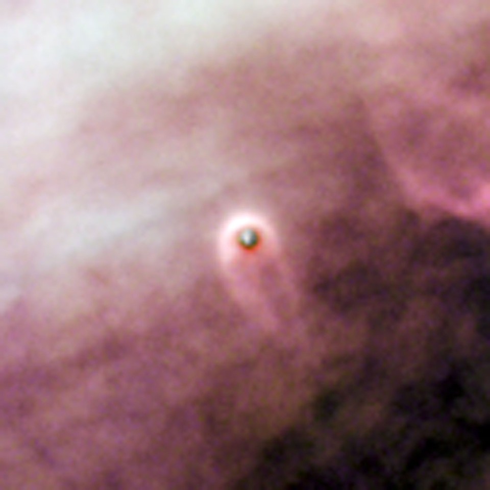 Born in beauty: proplyds in the Orion Nebula