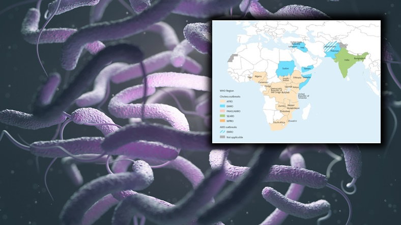 Milionom ludzi grozi cholera