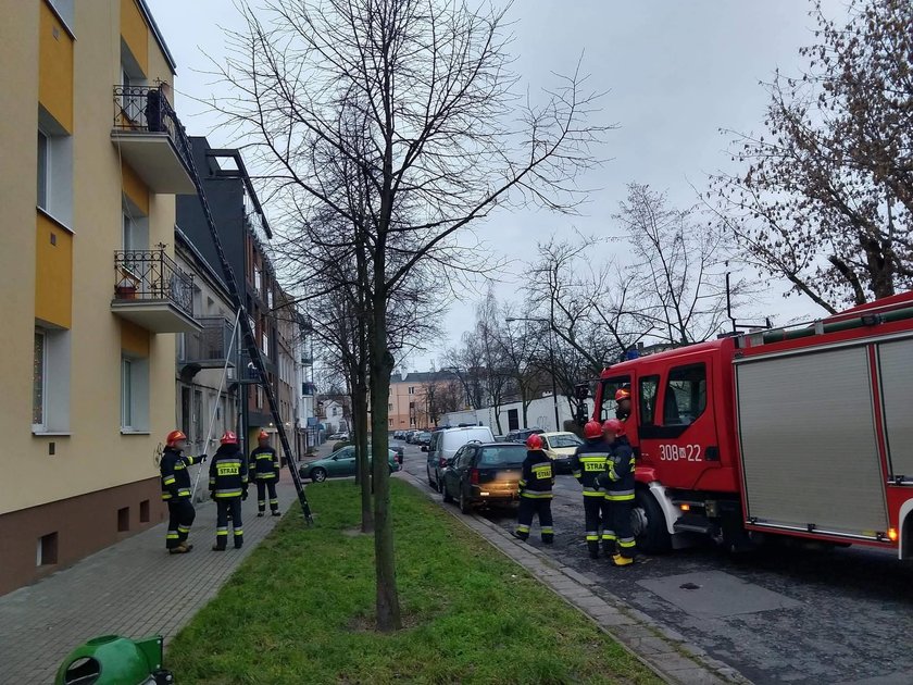 Pies męczył się na balkonie