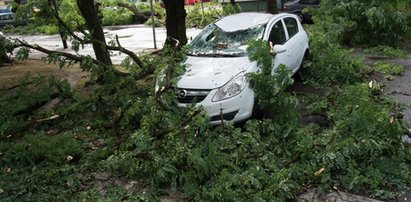 Nawałnica przeszła nad Łodzią. Zobacz zniszczenia