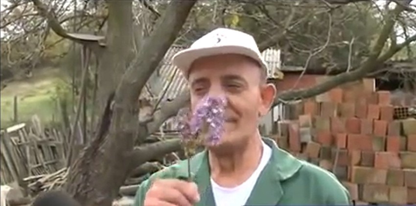 Ubica: Čedomir Đurić