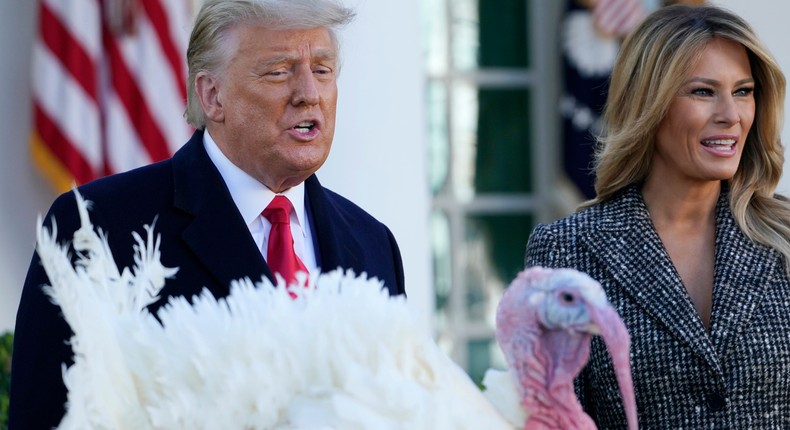 Then-President Donald Trump pardons Corn, the 2020 national Thanksgiving turkey, in the White House Rose Garden as Melania Trump looks on.Susan Walsh/AP