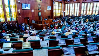 House of Representatives [Twitter/@HouseNGR]