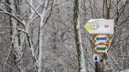Bár a karácsony lenne ilyen fehér: Zala megyében mindent belep a hó – fotók 