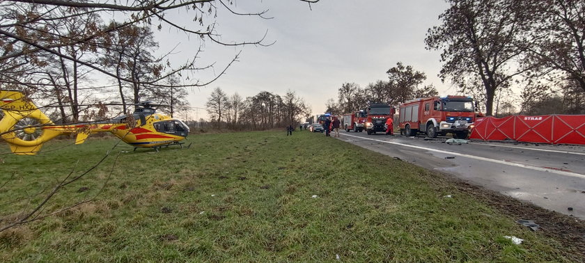 Tragedia w województwie łódzkim. Czołowe zderzenie renault z ciężarówką. Przynajmniej jedna osoba nie żyje