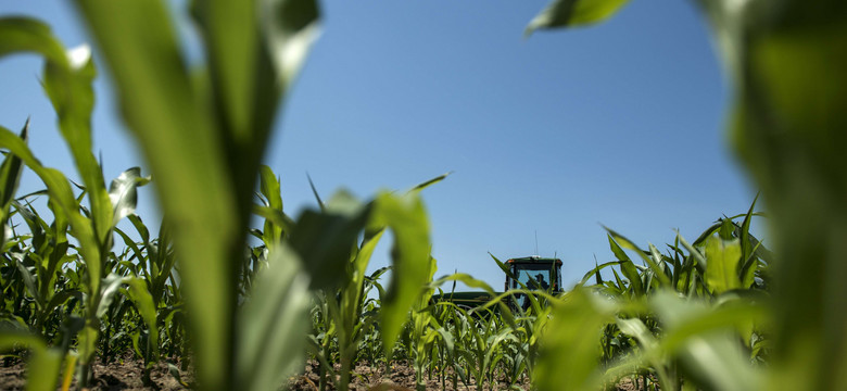 Monsanto i Bayer. Kto dziś rządzi światowym rolnictwem