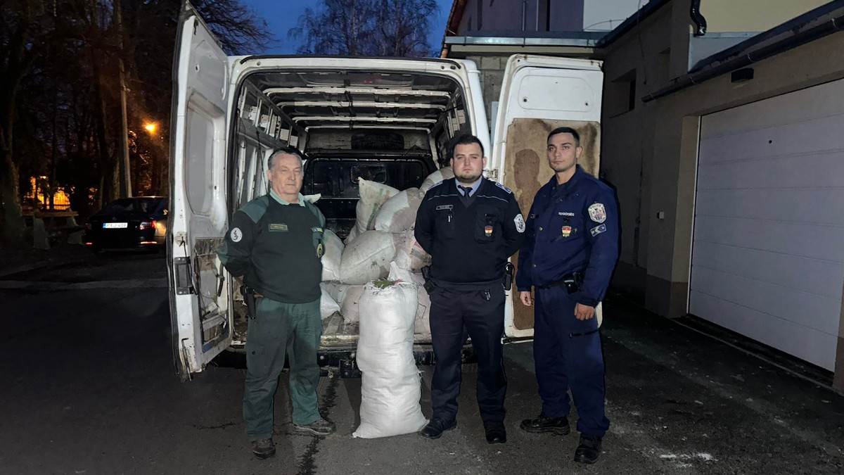 Mire kellhetett nekik? 200 kiló mohát loptak a szerencsi tolvajok – fotók