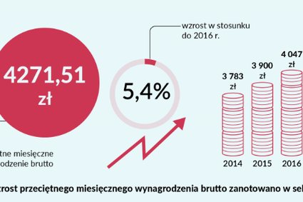 Przeciętne wynagrodzenie brutto w górę. Sprawdź, kto wie, ile zarabiasz [INFOGRAFIKA]