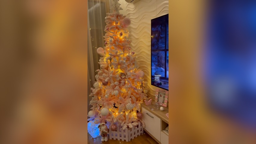 Dom Helene Topalović