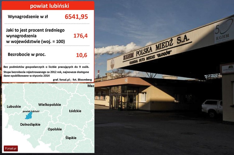 1. Powiat lubiński Najważniejszym pracodawcą w powiecie jest górnicza spółka KGHM Polska Miedź z siedzibą w Lubinie - jedna z największych polskich spółek skarbu państwa, jeden z czołowych producentów miedzi i srebra rafinowanego na świecie. <a href='http://forsal.pl/artykuly/510833,zobacz_jak_rosna_pensje_w_kghm.html ' style='color: blue'>Średnie miesięczne wynagrodzenie w spółce w 2012 roku wyniosło niemal 9400 zł.</a> Kapitał zakładowy Spółki wynosi 2 mld zł. Największym akcjonariuszem jest Skarb Państwa, który posiada ponad 30 proc. kapitału zakładowego. W oddziale „Lubin” spółka wydobywa polimetaliczną rudę, która zawiera głównie miedź oraz srebro i - w mniejszych ilościach - nikiel, kobalt, molibden. Na terenie powiatu znajdują się też Zakłady Górnicze Lubin i Huta Miedzi Cedynia.