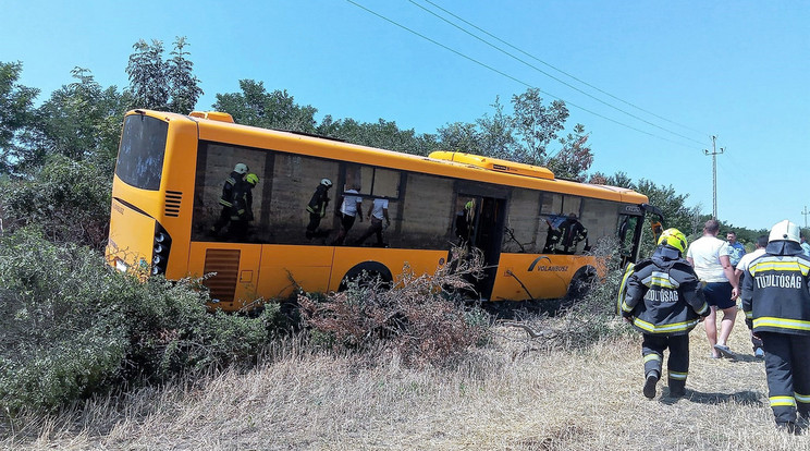 A busz a bozótosban állt meg /Fotó: Baleset-info.hu