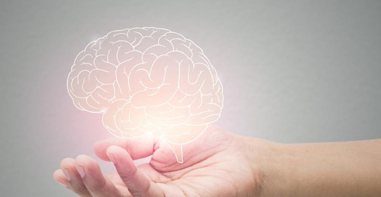 Nowe połączenia pomiędzy neuronami ważne dla pamięci