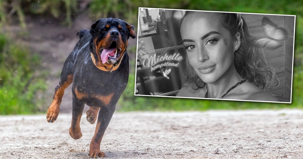 Walka o nuggetsy z McDonald's zakończona tragedią. Śledztwo ujawnia szokujące fakty