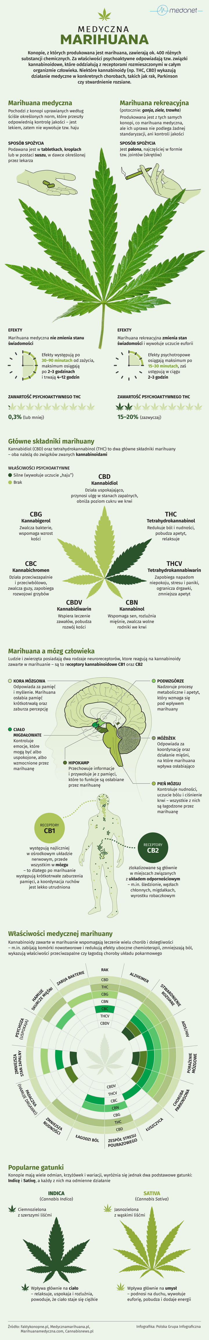 Jak działa marihuana? 