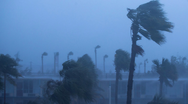 Már több, mint félezer áldozatot szedett a hurrikán /Fotó: Europress-Getty