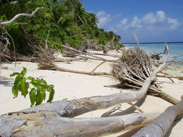 Galeria Tuvalu - zagrożony raj, obrazek 6