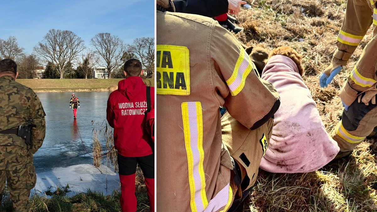 Vroslavda it buzun altına düşdü, sahibi onu xilas etmək üçün çaya atıldı