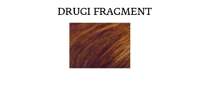 Drugi fragment