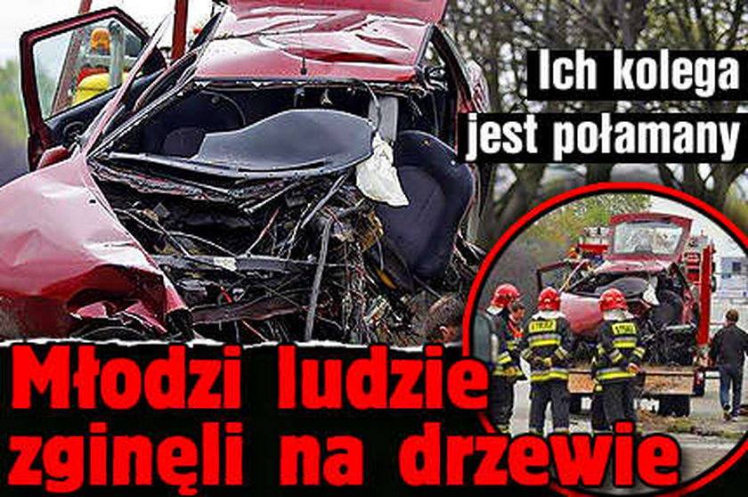 Młodzi ludzie zginęli na drzewie, ich kolega jest połamany