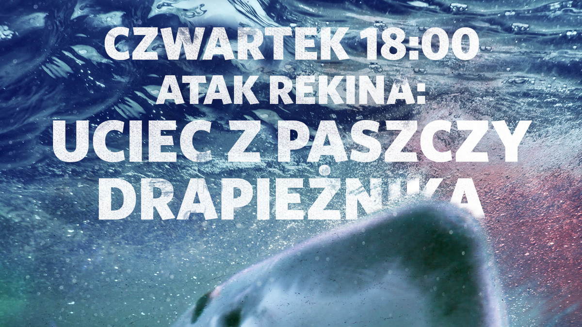 W ramach Tygodnia z Rekinami w czwartek 24 sierpnia o godz. 18:00 kanał Nat Geo Wild zaprezentuje premierowo "Atak rekina: uciec z paszczy drapieżnika". Program przybliży prawdziwe i przerażające historie ludzi, którzy przeżyli spotkanie oko w oko z rekinem.