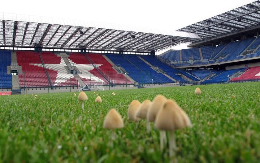 Stadion Wisły najgorszym budynkiem w Krakowie