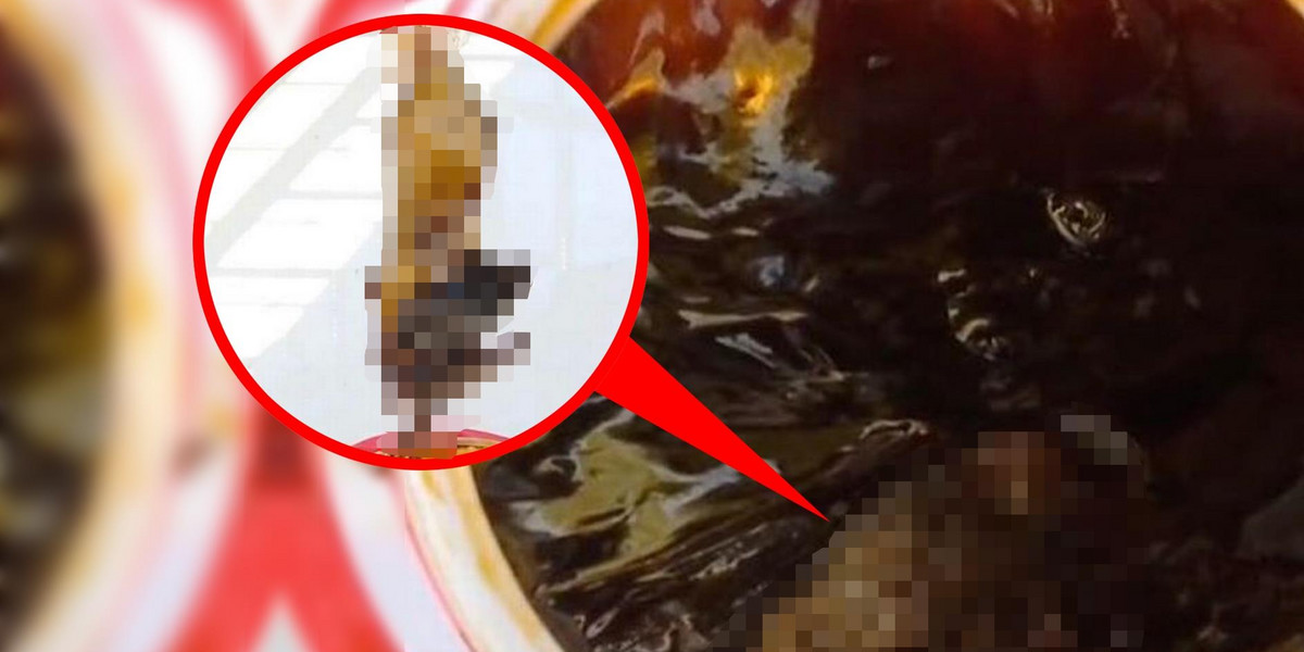 Chiny: martwy nietoperz w słoiku z sosem. Obrzydliwe